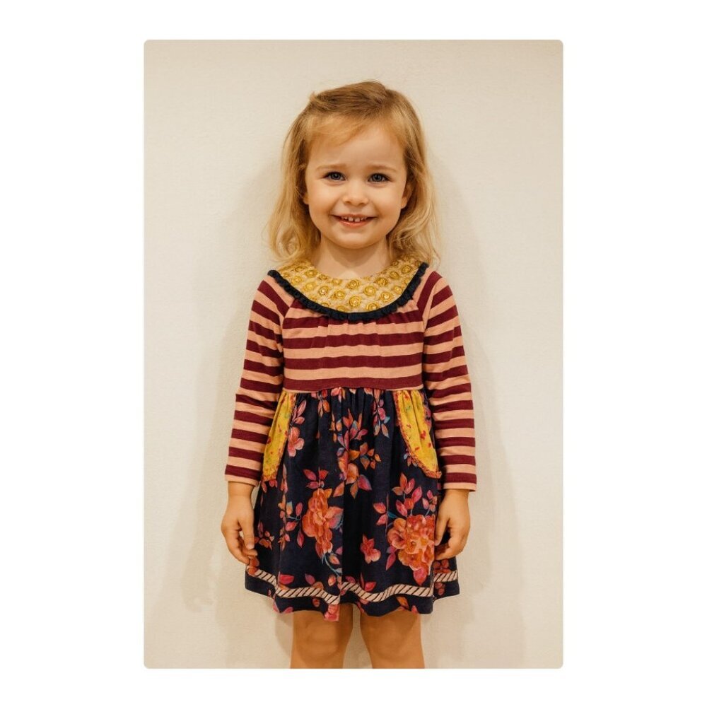 Wild Flowers Dress Girls Size 4 Striped Floral Long Sleeve Pocket Casual